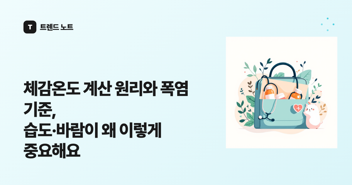 체감온도 계산 원리와 폭염 기준, 습도·바람이 왜 이렇게 중요해요