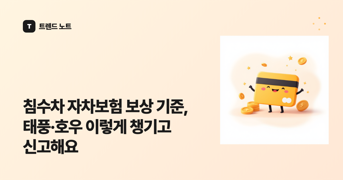 침수차 자차보험 보상 기준, 태풍·호우 이렇게 챙기고 신고해요